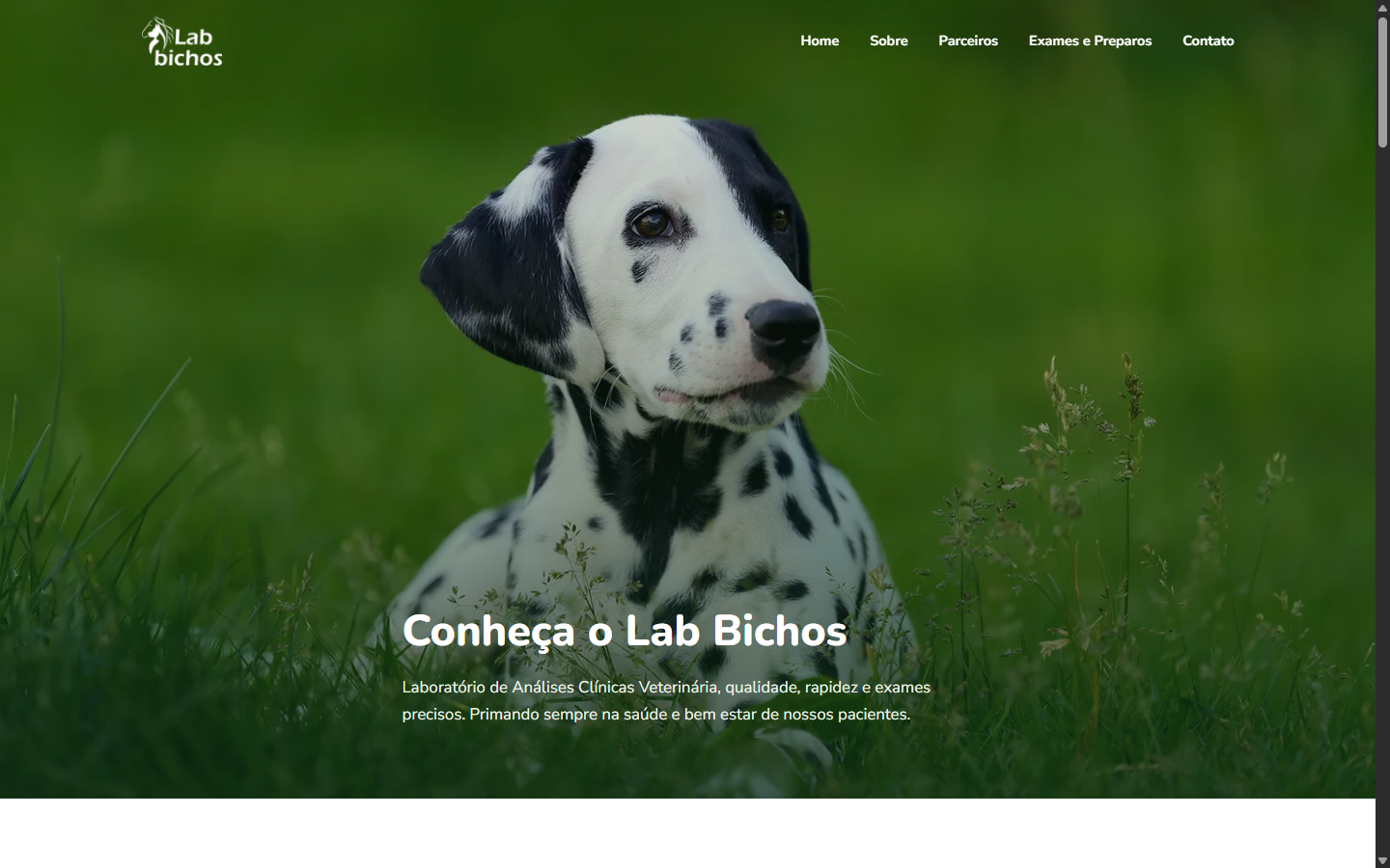 Lab Bichos Veterinária